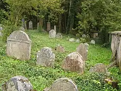 Dolní Bolíkov, židovský hřbitov 12.jpg
