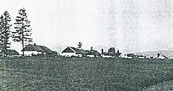 Rašeliniště u Dolní Borkové