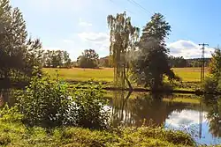 Dolní Chotovický rybník