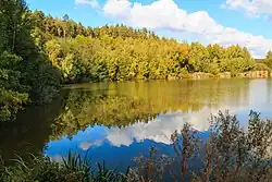 Dolní Kunratický rybník 01.jpg