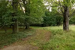 Cesta bývalou Dolní Novinou