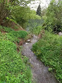 Dolní tok potoka, Losy