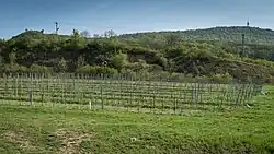 Dolni Vestonice II site-top southern edge western slope.jpg