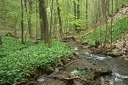 Domaslavické údolí