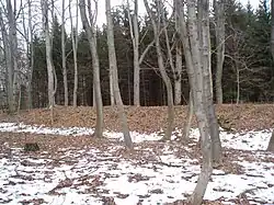 Jihozápadní vnitřní val