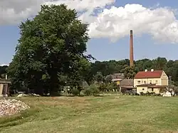 Památný Donínský jilm