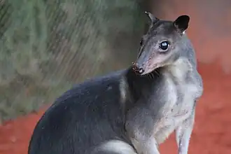 alternativní popis obrázku chybí