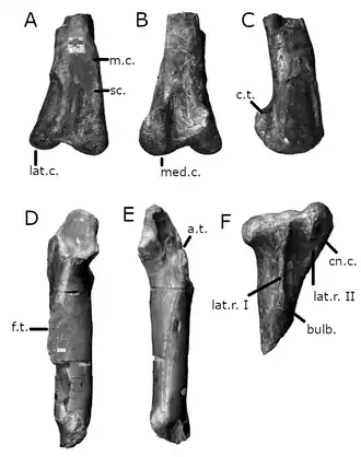 alternativní popis obrázku chybí