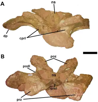 popis obrázku chybí