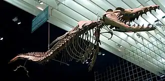 alternativní popis obrázku chybí