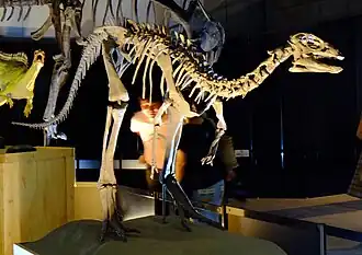 alternativní popis obrázku chybí