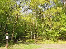 Přírodní rezervace Doubek