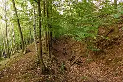 Příkop a val na Doubku