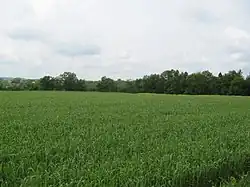 Doubravčany, hradiště Na Hradišťanech.jpg