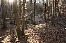 Doubravčice - prostor zaniklé vsi Dolánky (12).jpg