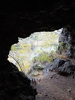 Na obrázku je pohled z jeskyně ven. Po obvodu je vidět pevná skála z níž je velkým otvorem vidět světlo a stromy před jeskyní.