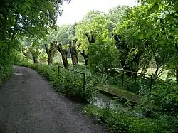 potok v Drahanském údolí