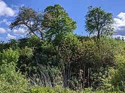 Drahlín - tvrziště (4).jpg