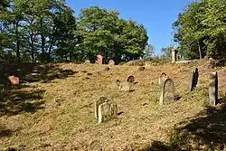 Drahonický židovský hřbitov