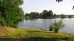 Drahotínský rybník u hráze