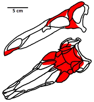 popis obrázku chybí