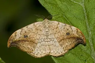 alternativní popis obrázku chybí