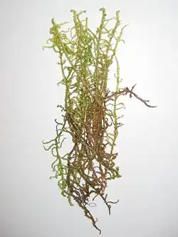 alternativní popis obrázku chybí