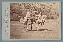Délié & Béchard, Tři muži na velbloudu, carte-de-visite, 1869–1890, kol. Rijksmuseum