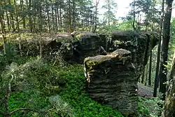 Pískovcové skály na Druclíku