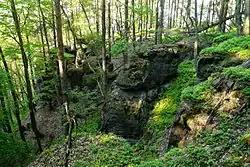 Pískovcové věže na Druclíku