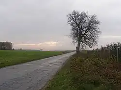 Cesta z Kraśnicę do Modrzewu