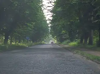 DW 215 poblíž Rozewie