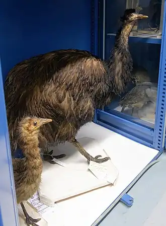 alternativní popis obrázku chybí