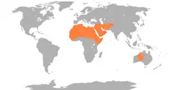 rozšíření dromedára