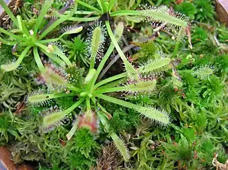 alternativní popis obrázku chybí