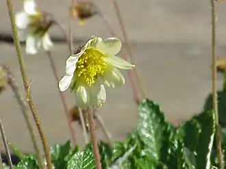 alternativní popis obrázku chybí