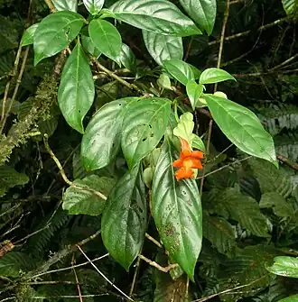 alternativní popis obrázku chybí