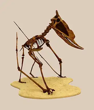 alternativní popis obrázku chybí