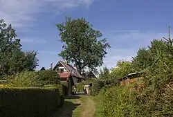 Památný dub v Radslavi