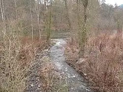 Soutok Lučinského potoka s Ohří