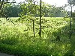 PR Jezero u Dublovic