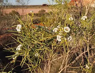 alternativní popis obrázku chybí