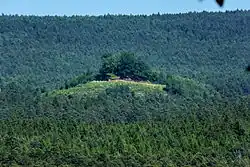 Dubová hora z Mlýnského vrchu