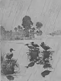 Ducks in the Rain, lept, 1918, Galerie umění, University of New Hampshire