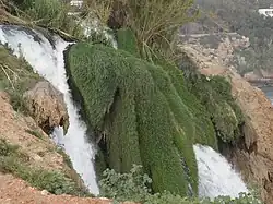 Začátek pádu mezi drny trav a rákosí