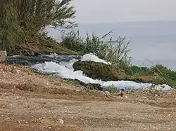 Poslední rozloučení řeky s pevninou