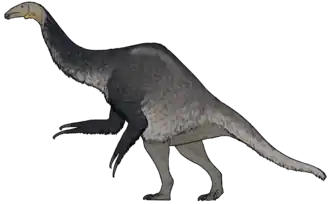 alternativní popis obrázku chybí