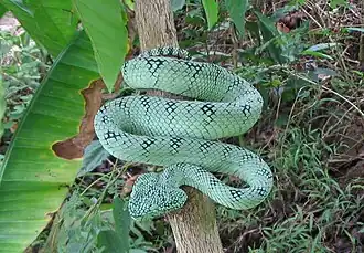 alternativní popis obrázku chybí