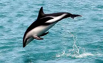 alternativní popis obrázku chybí