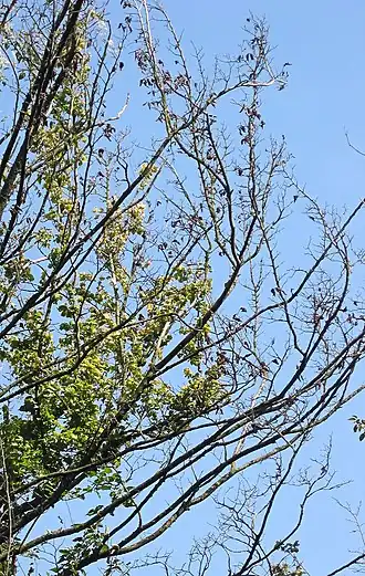 alternativní popis obrázku chybí